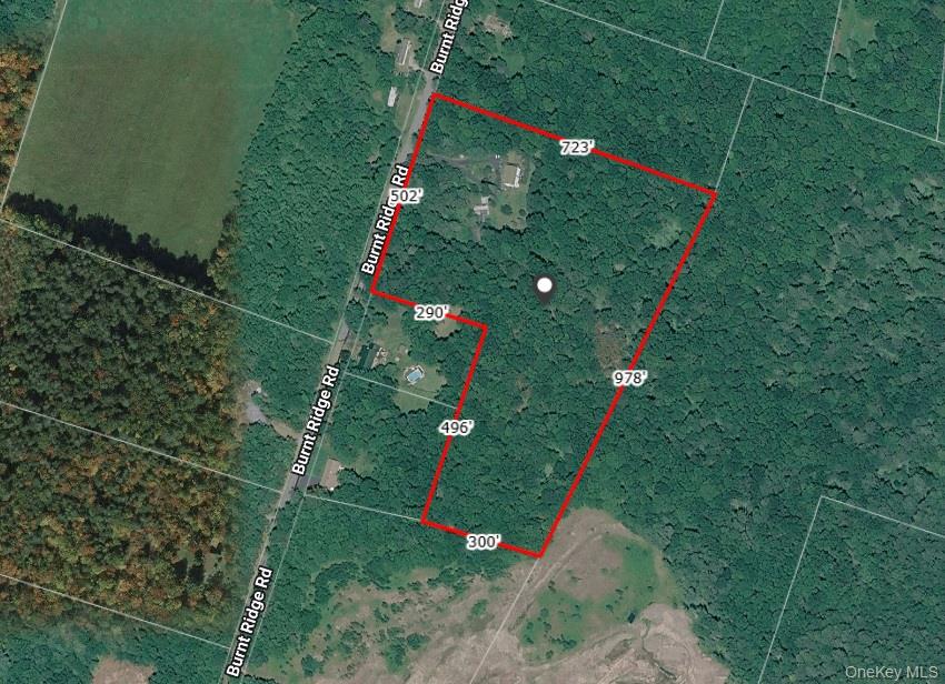 239 Burnt Ridge Road Liberty, NY 12754 - Photo 49 of 50