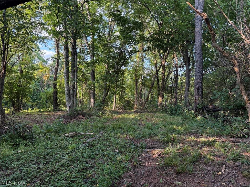 0 Fisher Ridge Road Fleming, OH 45729 - Photo 2 of 4 Gallery Image 2