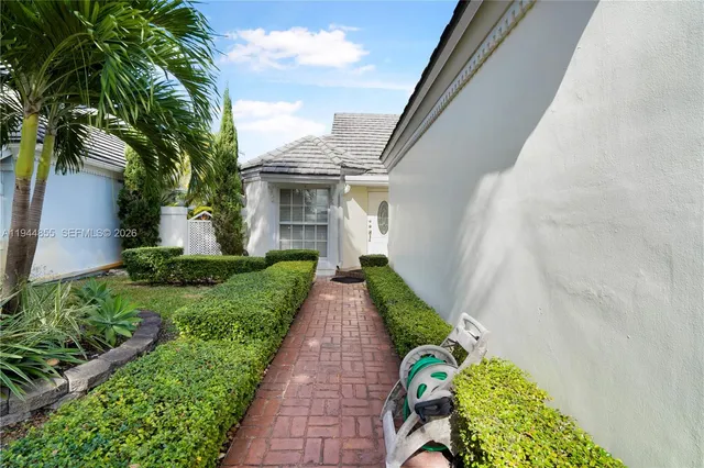 a view of a pathway with plants