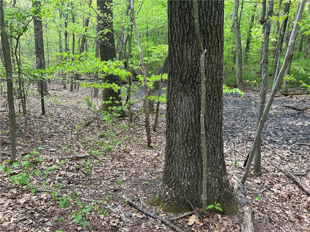 Wesley Chapel Mount Mount Perry, OH 43760 - Photo 9 of 15