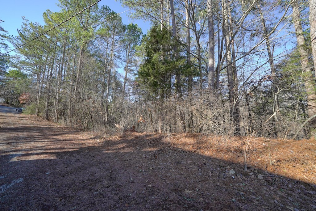0 South New Era Road Sevierville, TN 37862 - Photo 2 of 10 Gallery Image 2