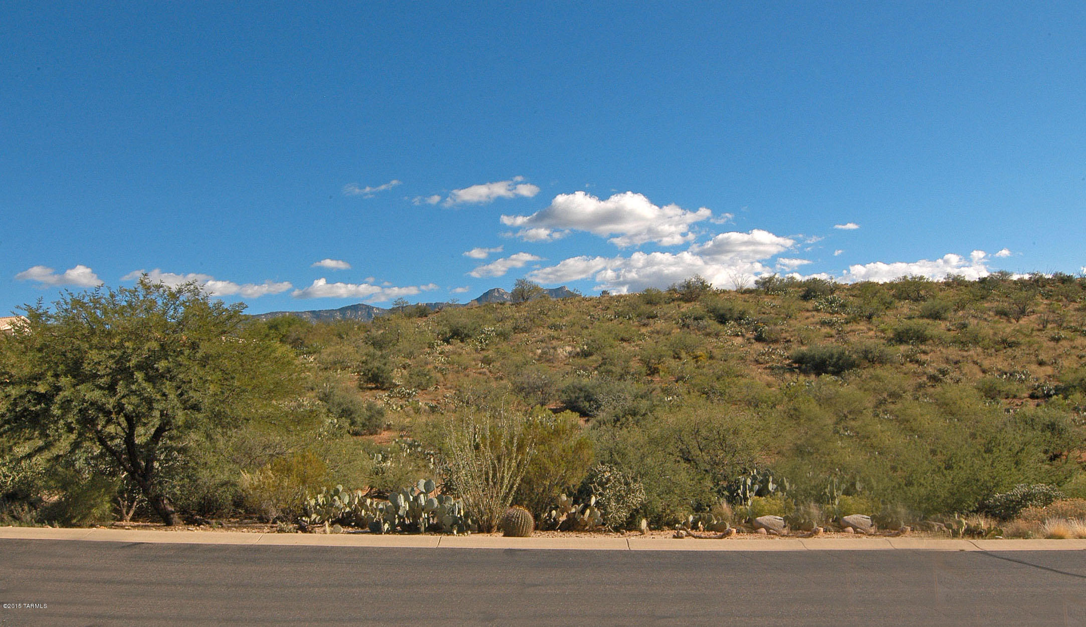 37304 South Copper Ridge Court Tucson, AZ 85739 - Photo 31 of 43 Gallery Image 31