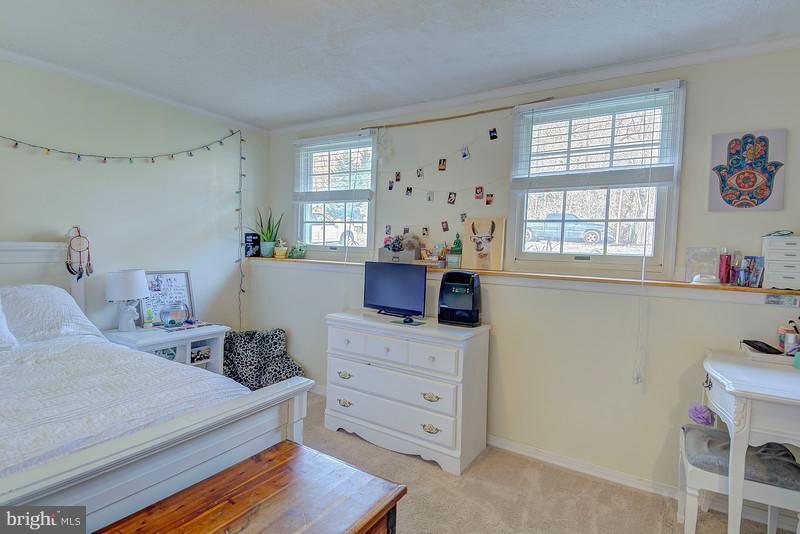8269 Sycamore Road Lusby, MD 20657 - Photo 18 of 26 Bedroom #4 Lower Level