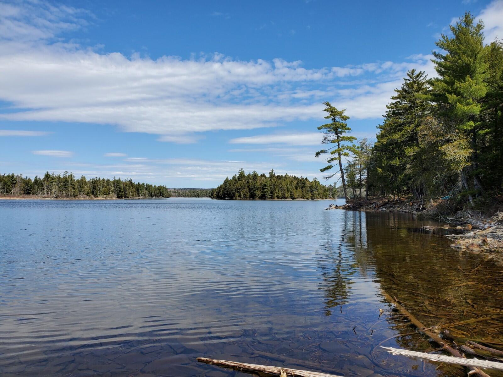 1.3-ac Off Barrows Lake Road Alexander, ME 04694 - Photo 2 of 10