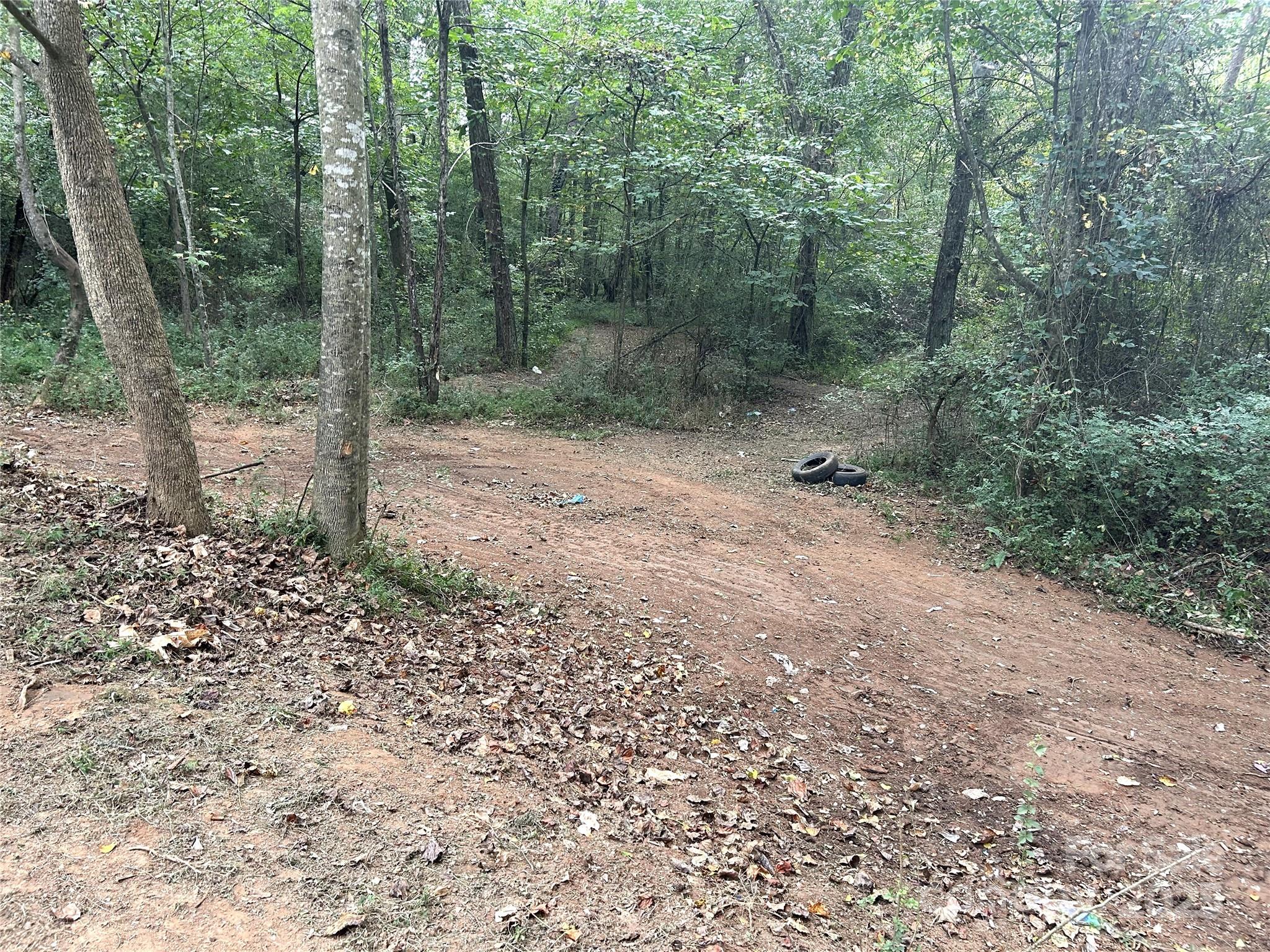 396 Buck Collins Road Forest City, NC 28043 - Photo 6 of 31 Gallery Image 6