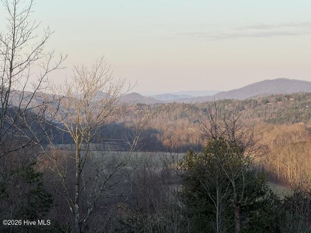 Lot 5 Downings Creek Road Hayesville, NC 28904 - Photo 8 of 11