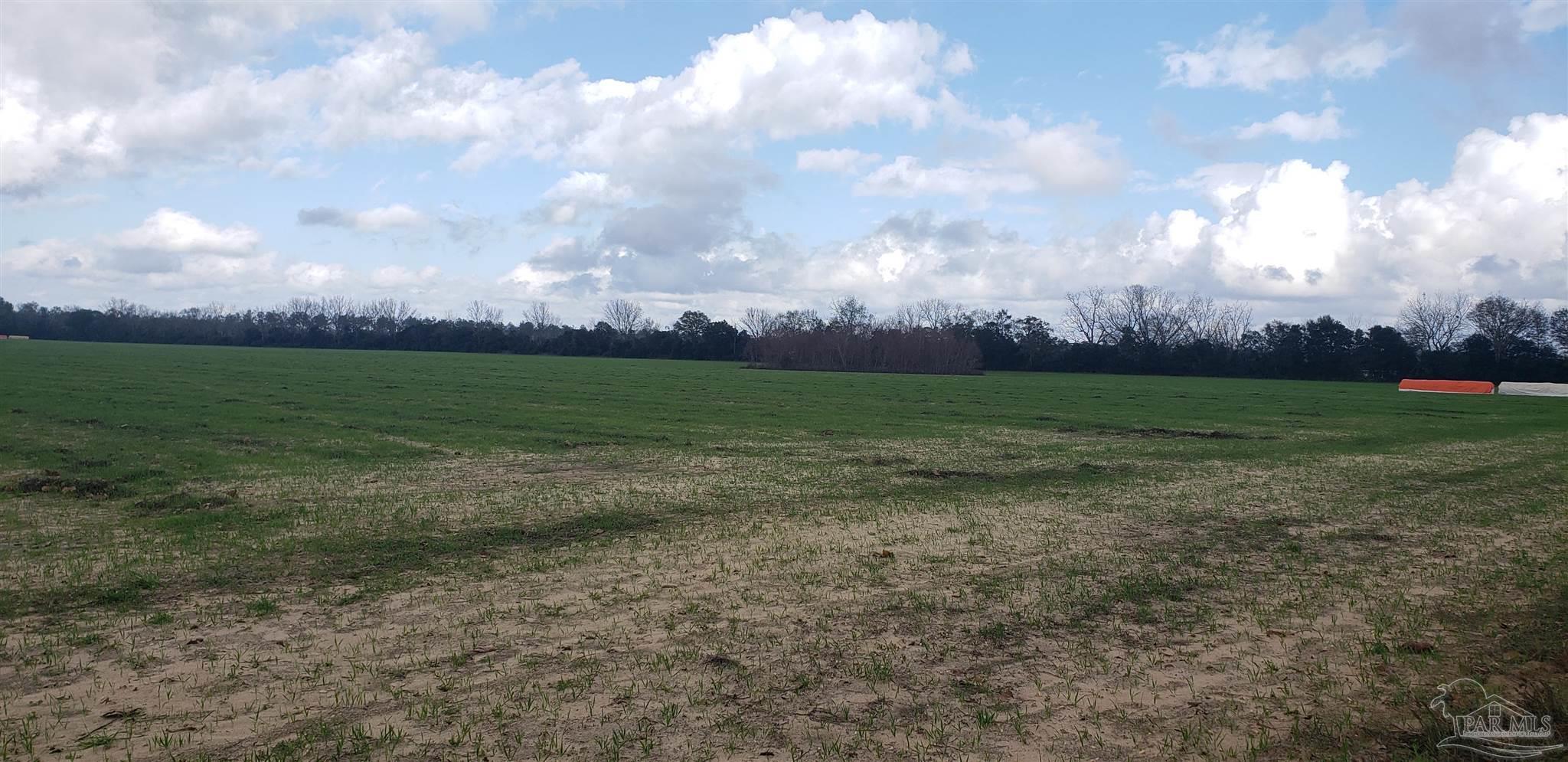 0 Jesse Allen Road Milton, FL 32570 - Photo 13 of 17