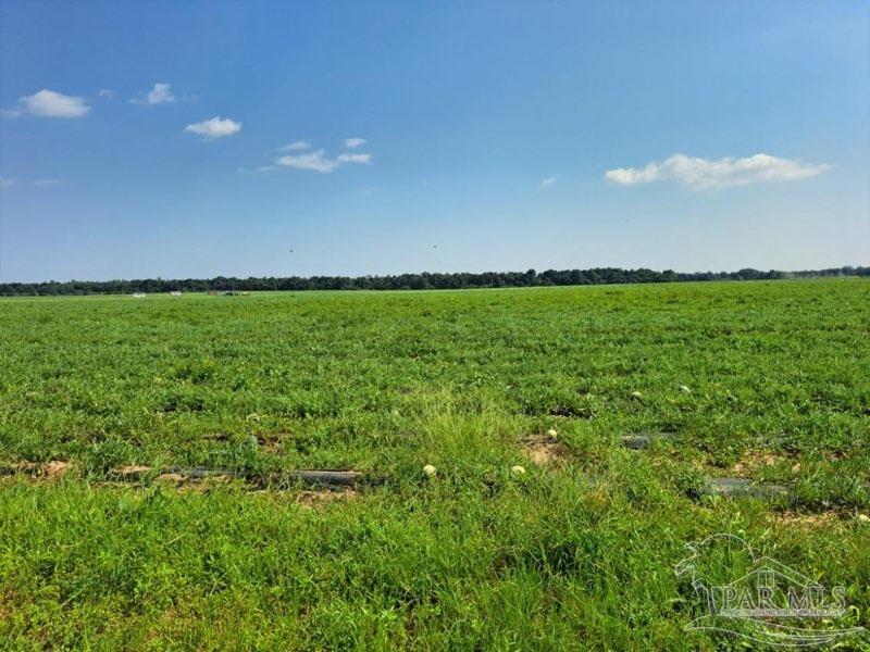 0 Jesse Allen Road Milton, FL 32570 - Photo 3 of 17