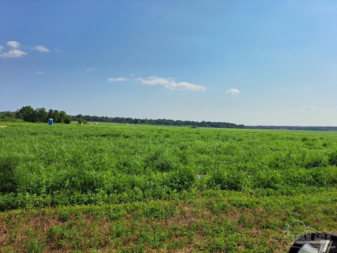 0 Jesse Allen Road Milton, FL 32570 - Photo 5 of 17