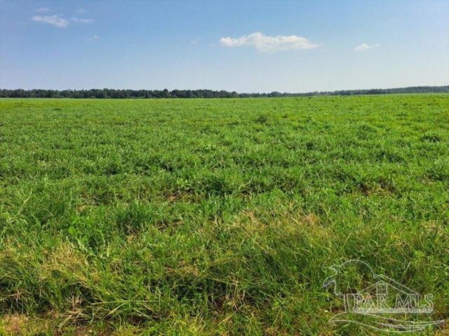 0 Jesse Allen Road Milton, FL 32570 - Photo 7 of 17