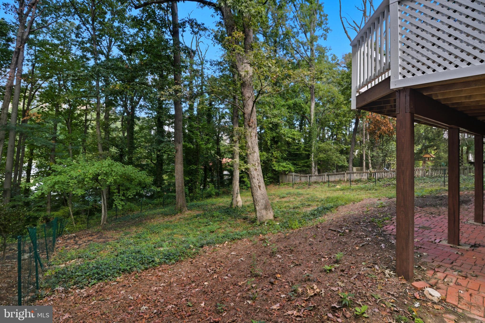 6032 Grove Drive Alexandria, VA 22307 - Photo 32 of 40 a view of a house with a backyard