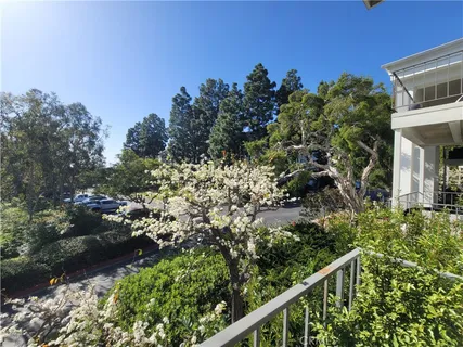 a view of a garden with plants
