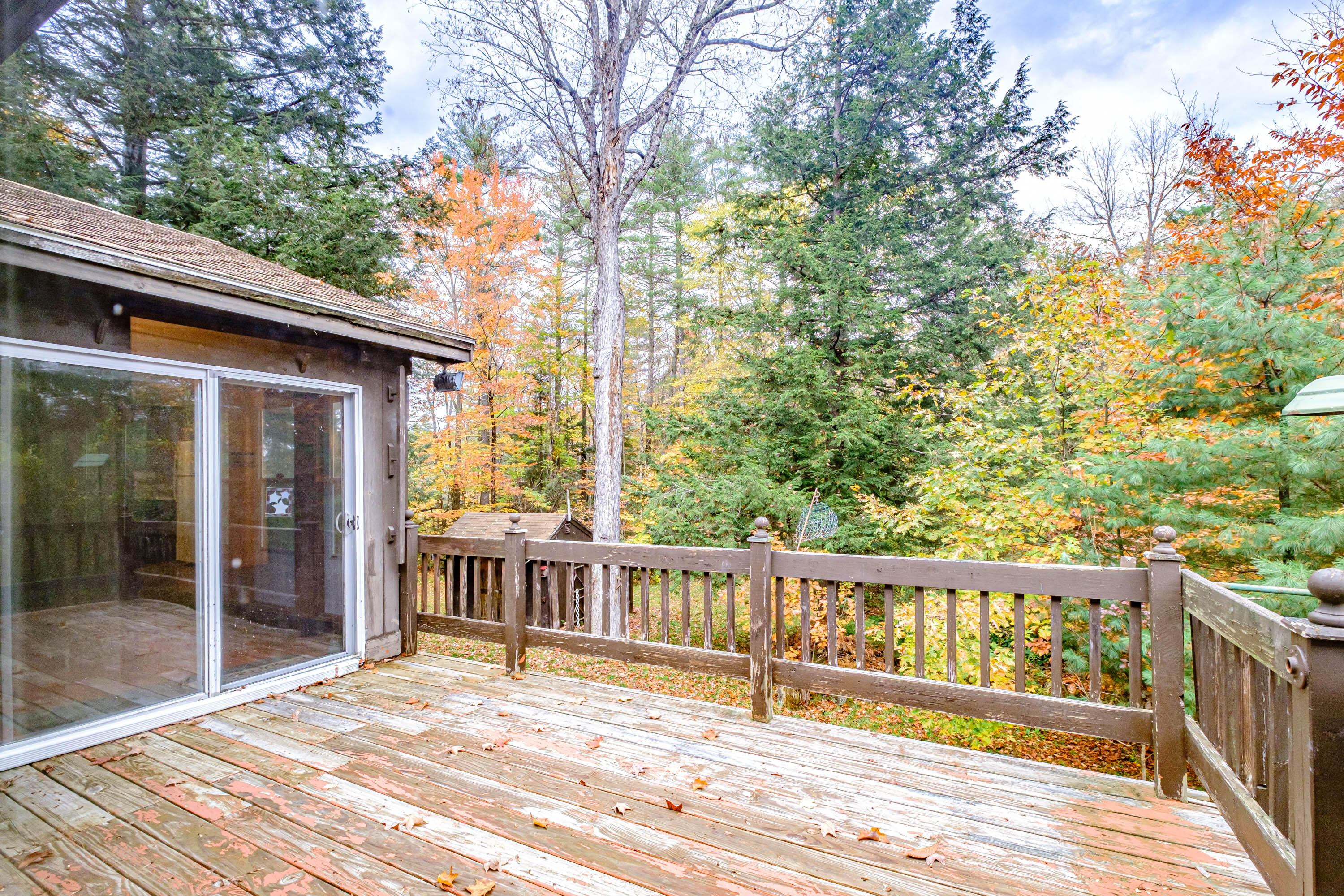463 Peabody Pond Road Sebago, ME 04029 - Photo 27 of 70 20231024gp-63020