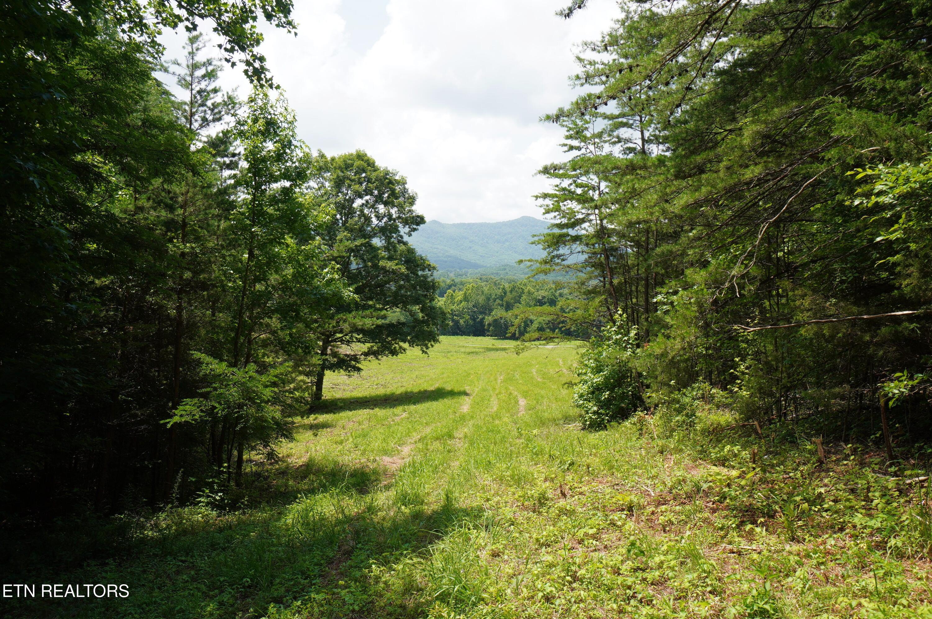 0 Rhyne Camp Road Newport, TN 37821 - Photo 9 of 19 camp rhyne rd (10)