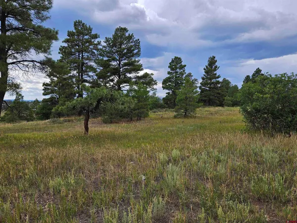 $23,900 | 266 Prospect Boulevard, Pagosa Springs, CO 81147
