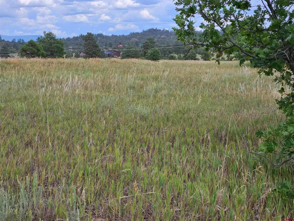 $23,900 | 266 Prospect Boulevard, Pagosa Springs, CO 81147