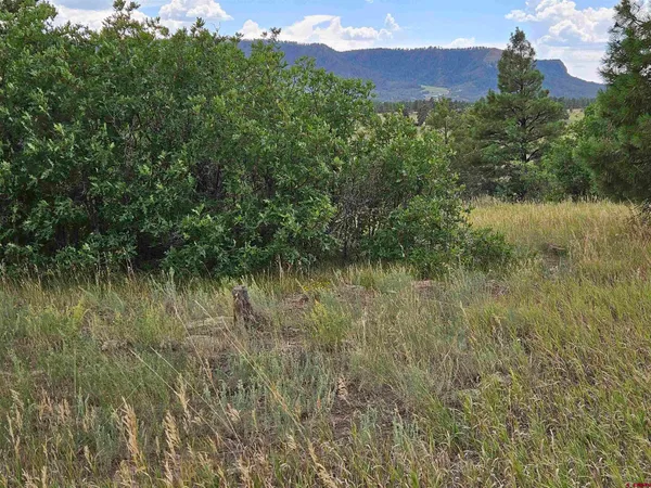 $23,900 | 266 Prospect Boulevard, Pagosa Springs, CO 81147