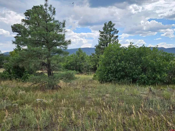 $23,900 | 266 Prospect Boulevard, Pagosa Springs, CO 81147