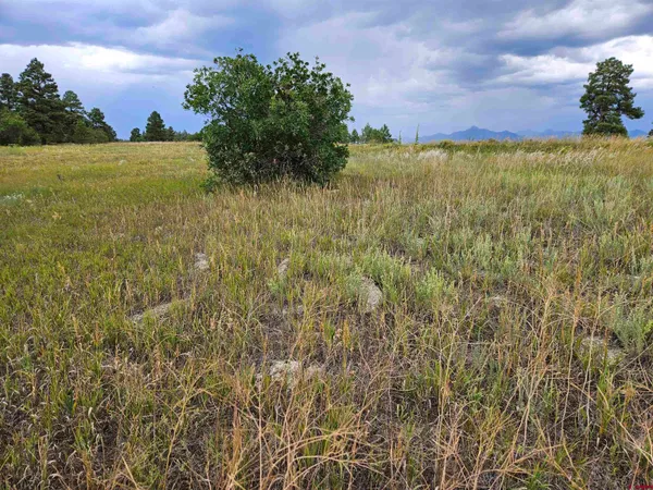 $23,900 | 266 Prospect Boulevard, Pagosa Springs, CO 81147
