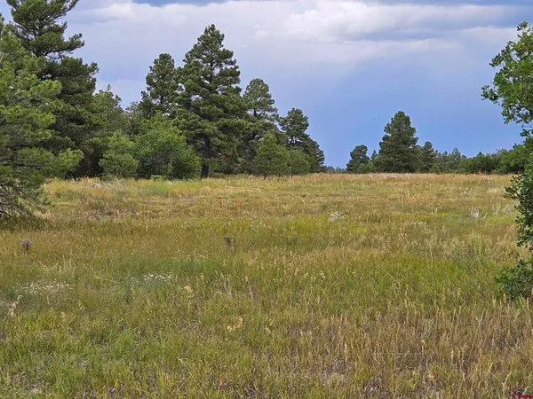$23,900 | 266 Prospect Boulevard, Pagosa Springs, CO 81147