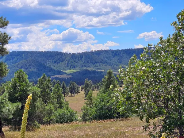 a view of a plants in middle of the green field