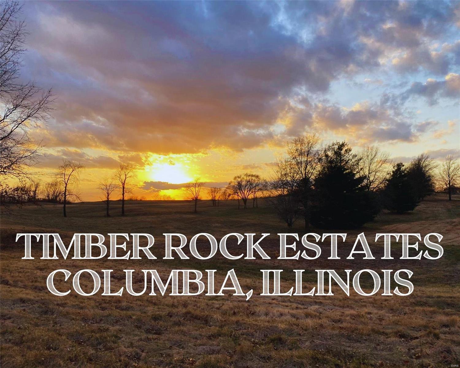 0 Timber Rock Columbia, IL 62236 - Photo 1 of 1