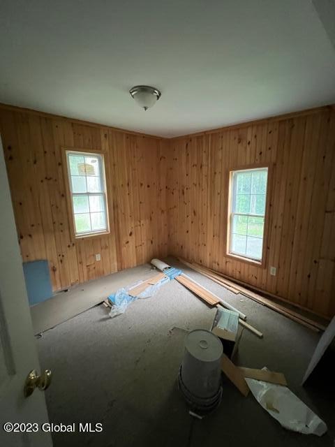 412 Flat Creek Road Gilboa, NY 12076 - Photo 30 of 38 IMG_5506