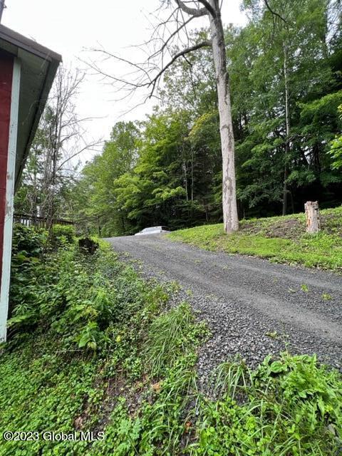 412 Flat Creek Road Gilboa, NY 12076 - Photo 37 of 38 IMG_5514