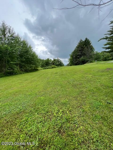 412 Flat Creek Road Gilboa, NY 12076 - Photo 6 of 38 IMG_5542