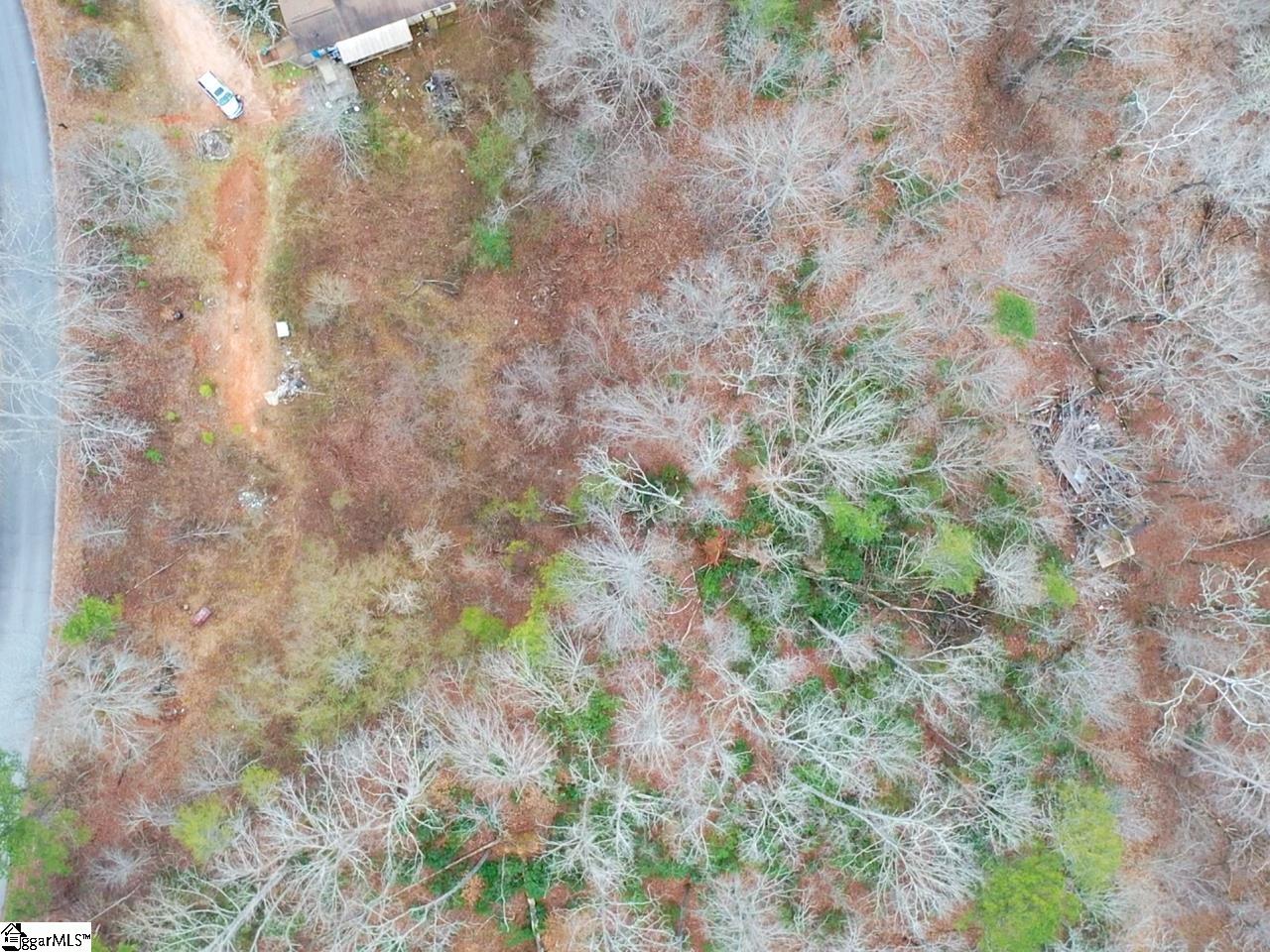 0 Echo Ridge Cleveland, SC 29635 - Photo 3 of 9