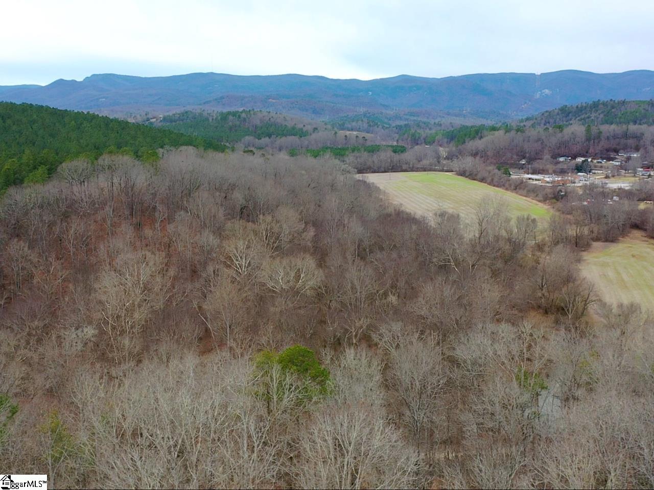 0 Echo Ridge Cleveland, SC 29635 - Photo 4 of 9