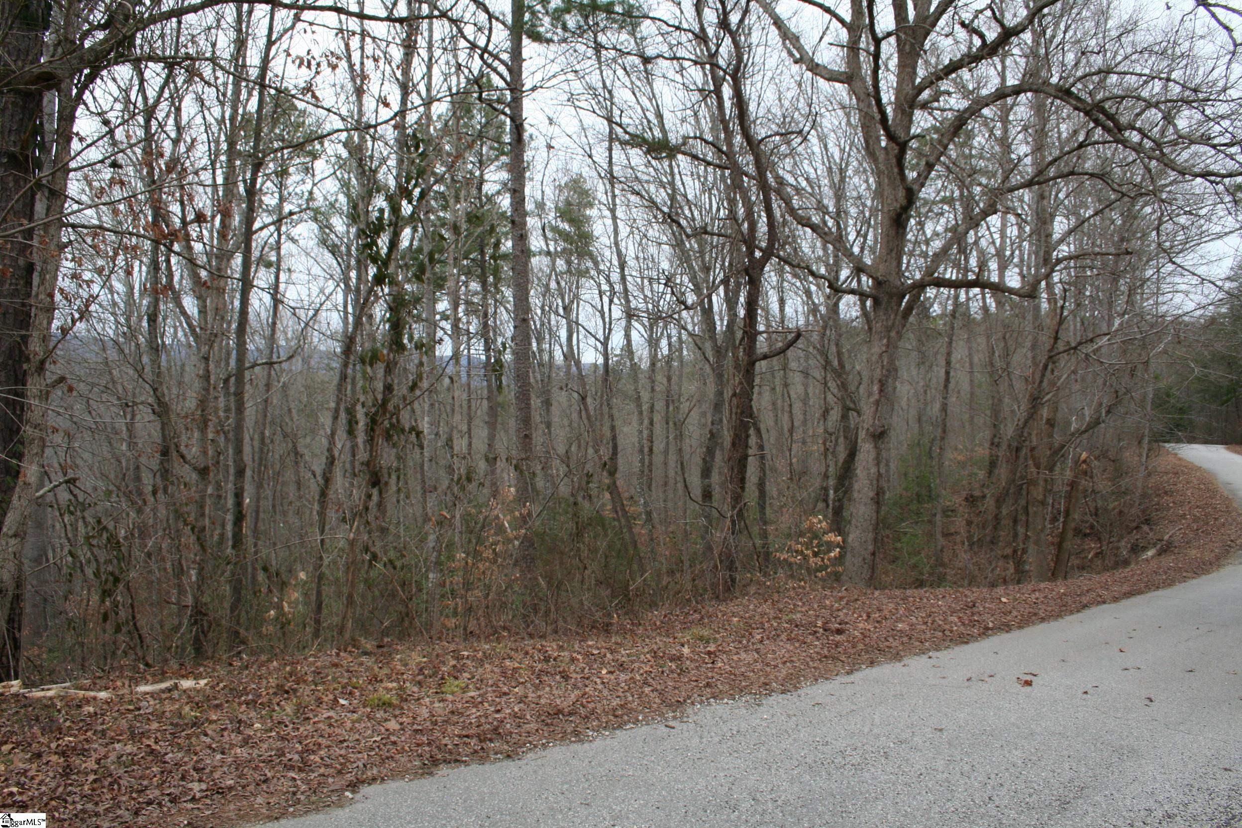 0 Echo Ridge Cleveland, SC 29635 - Photo 6 of 9