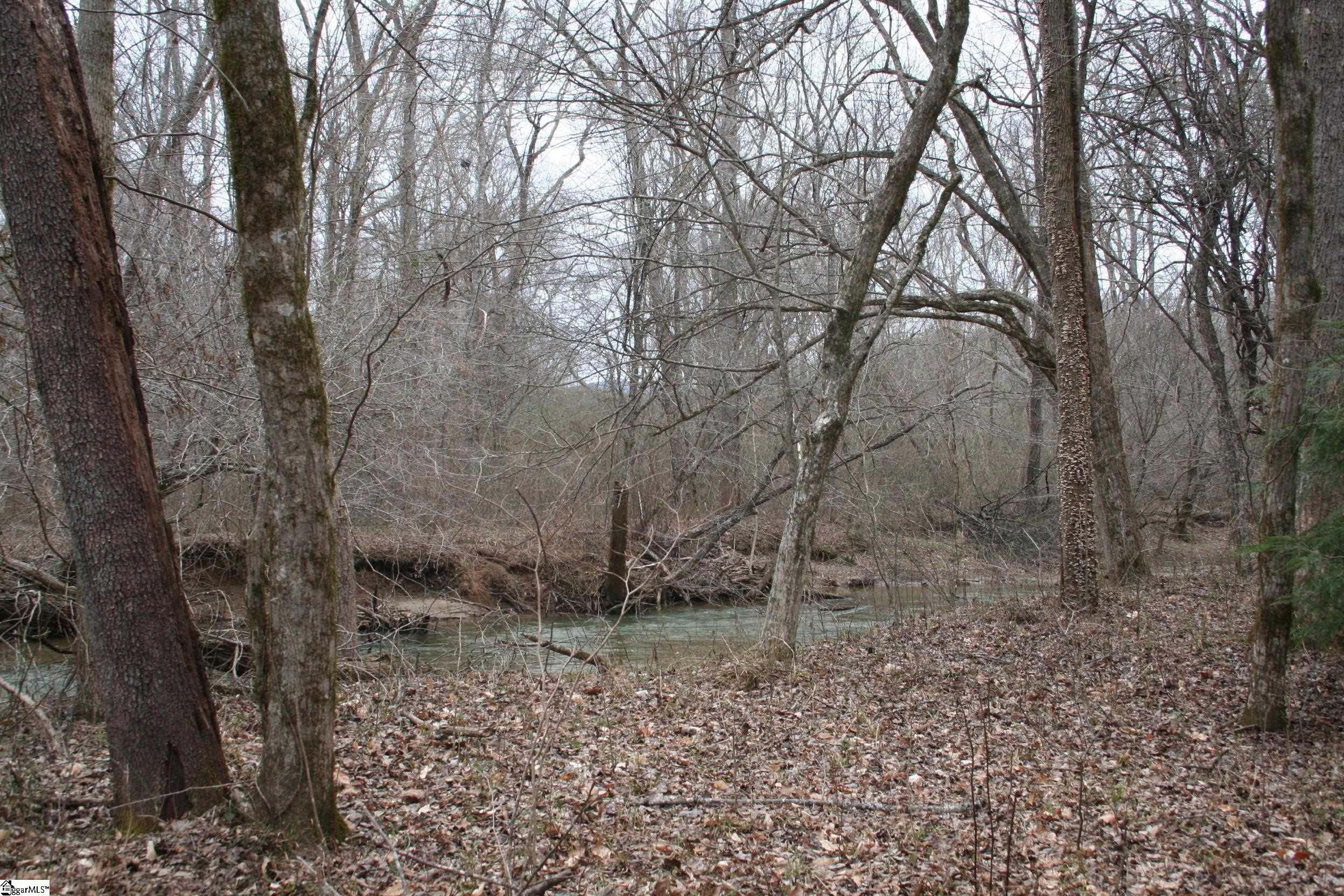 0 Echo Ridge Cleveland, SC 29635 - Photo 7 of 9