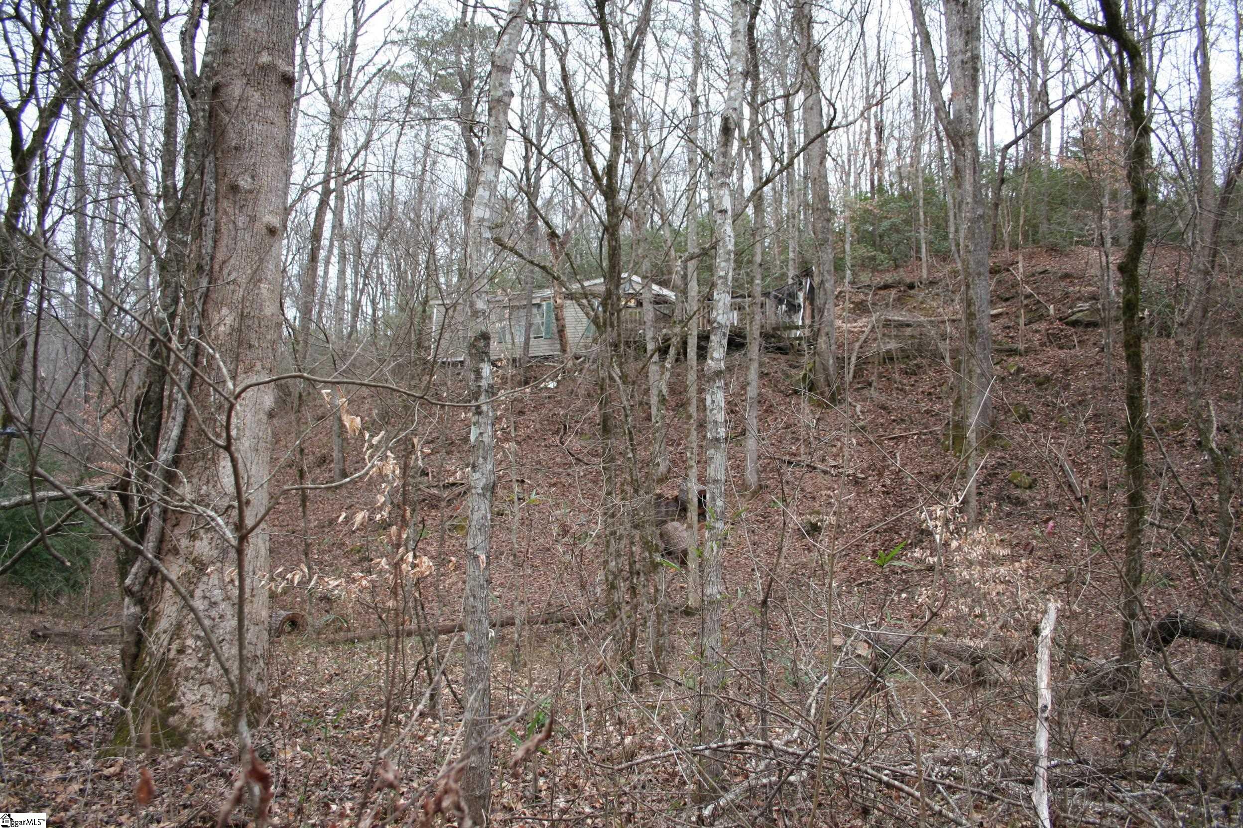 0 Echo Ridge Cleveland, SC 29635 - Photo 9 of 9