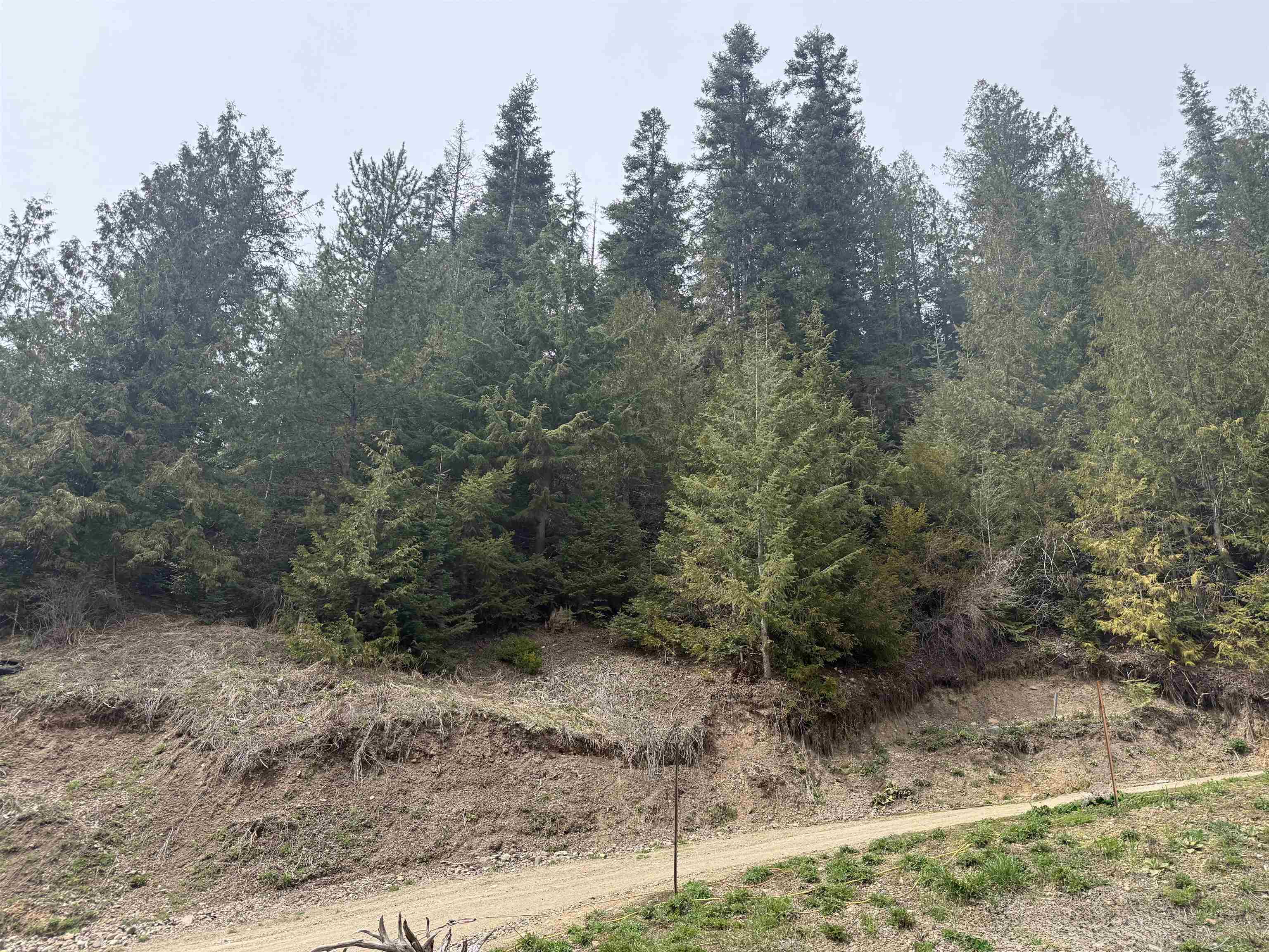 4851 Best Chance Road Usk, WA 99180 - Photo 2 of 9