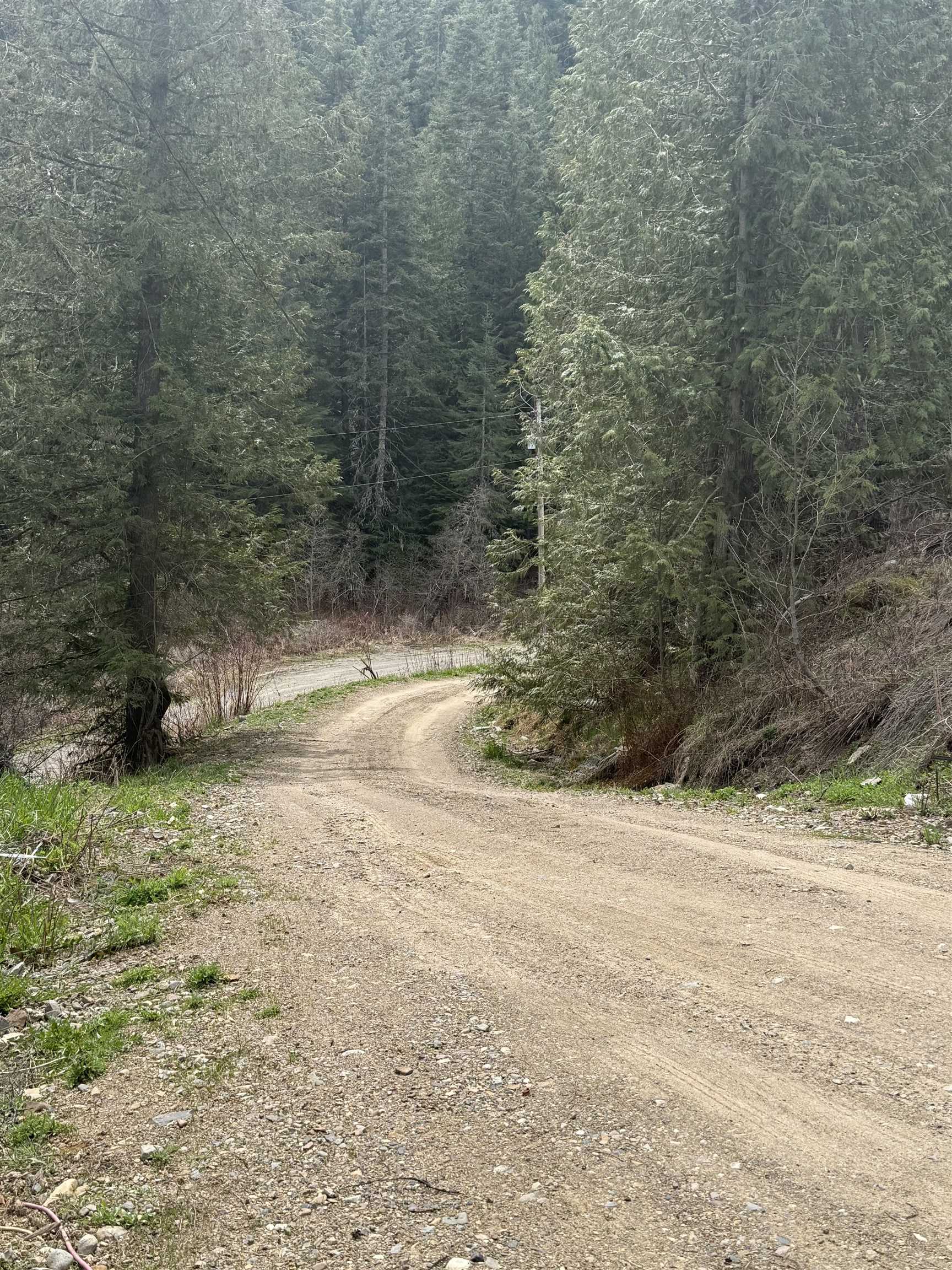 4851 Best Chance Road Usk, WA 99180 - Photo 4 of 9