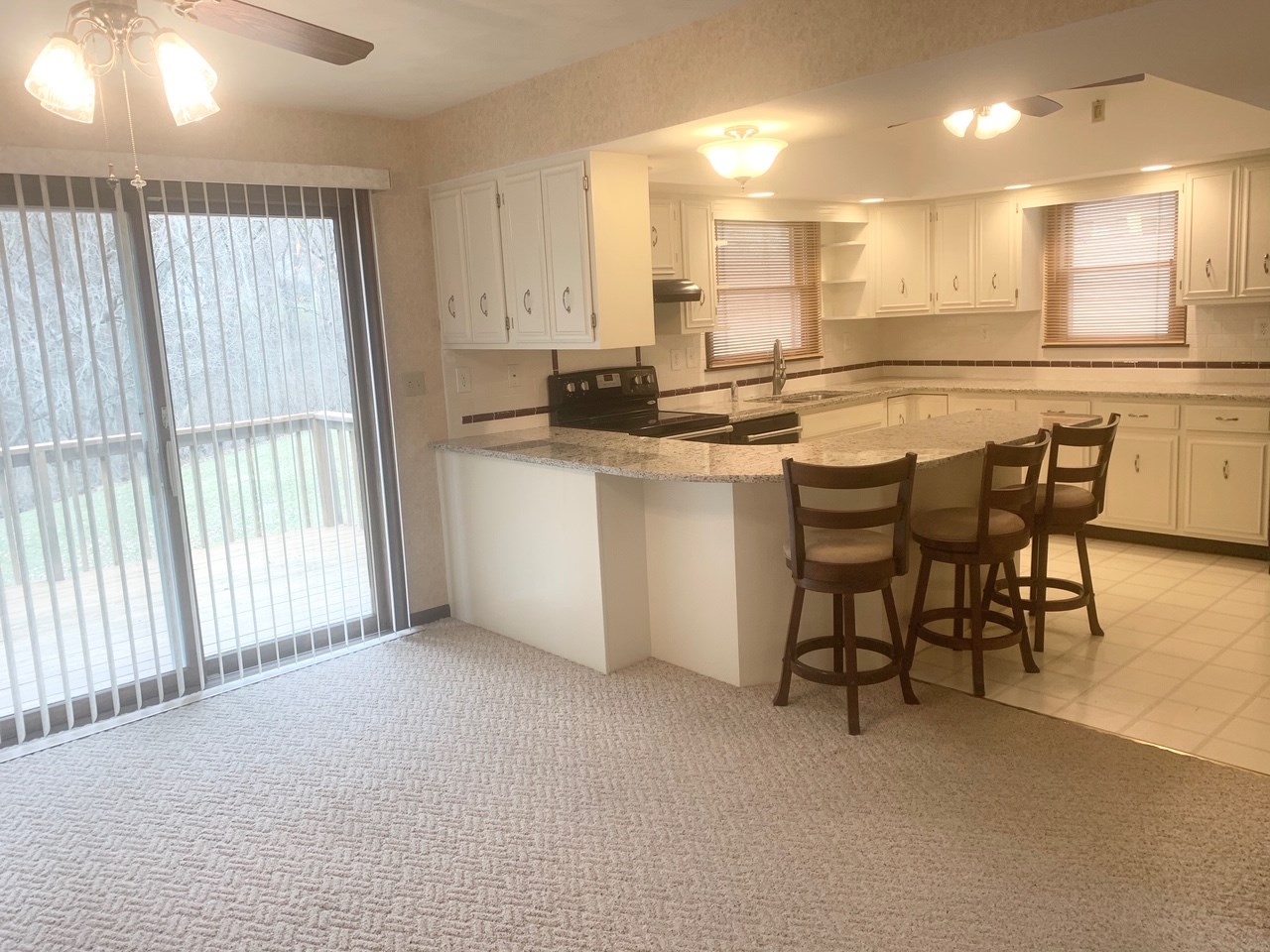 17241 River View Road Petersburg, IL 62675 - Photo 9 of 34 Gallery Image 9