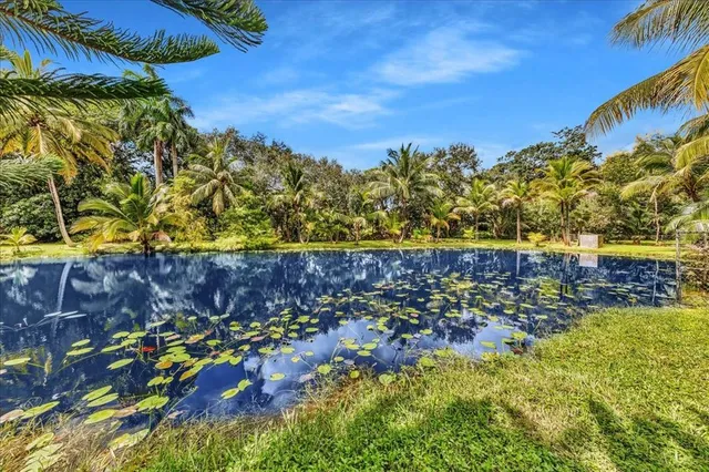 a view of a water fountain with wooden fence