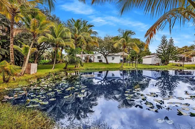 a view of a yard with a tree