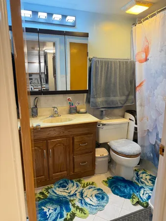 a bathroom with a sink a toilet and a mirror