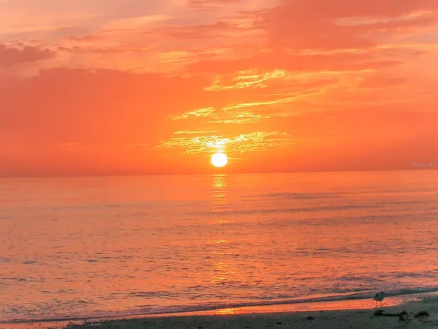 $9,500 | 6415 Midnight Pass Road, Unit 602, Sarasota, FL 34242