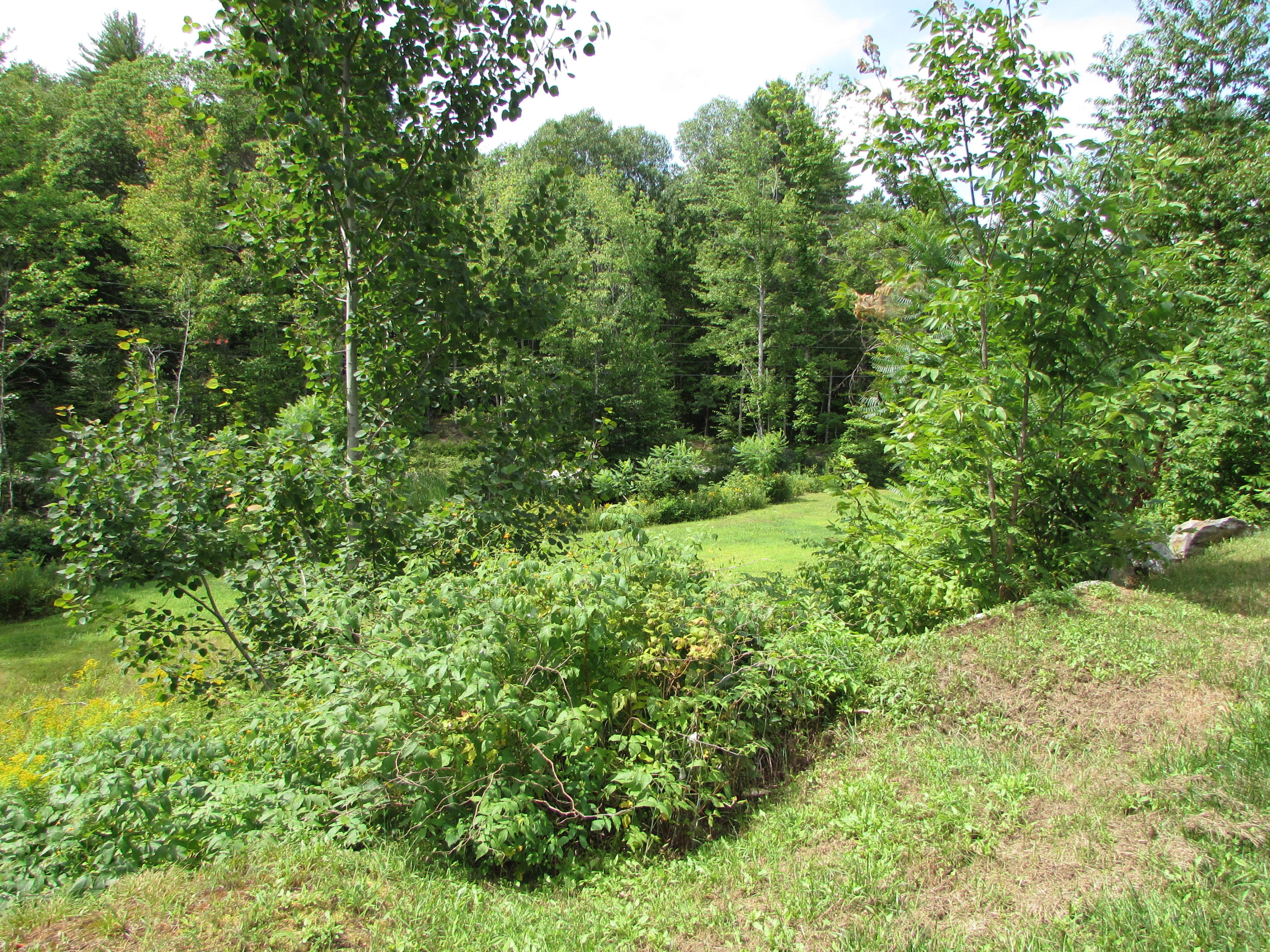 304 Garland Road West Newfield, ME 04095 - Photo 6 of 33 Yard