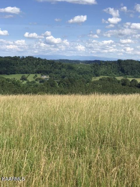 13 R Foshee Road Philadelphia, TN 37846 - Photo 24 of 26 AF998761-C34A-4594-9074-242295100FDC