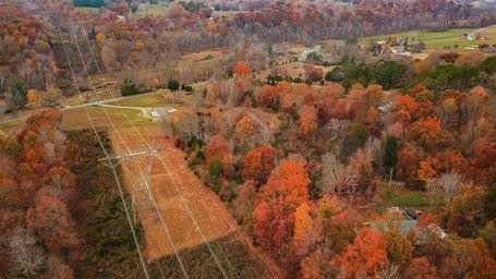2957 Distillery Road Greenbrier, TN 37073 - Photo 33 of 41 a view of a yard with trees