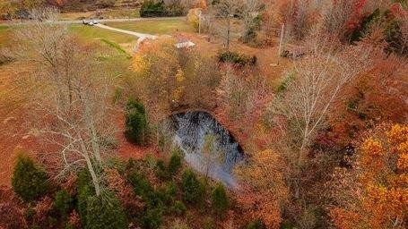 2957 Distillery Road Greenbrier, TN 37073 - Photo 36 of 41 a view of a dry yard with lots of trees