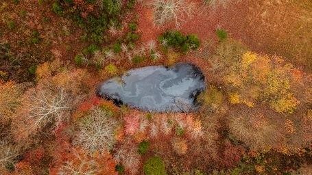 2957 Distillery Road Greenbrier, TN 37073 - Photo 38 of 41 a view of a wooden wall under an umbrella