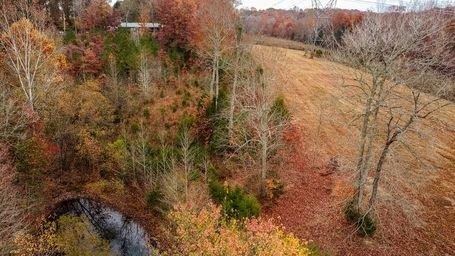 2957 Distillery Road Greenbrier, TN 37073 - Photo 40 of 41 a view of a forest with trees in the background