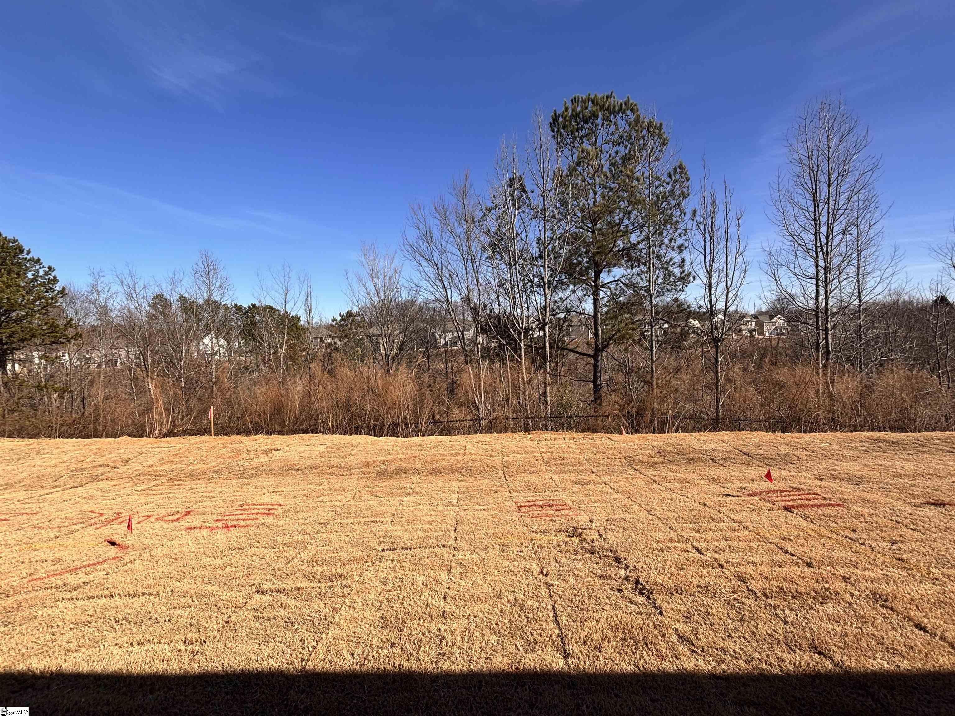 3072 Olivette Place Duncan, SC 29334 - Photo 6 of 6