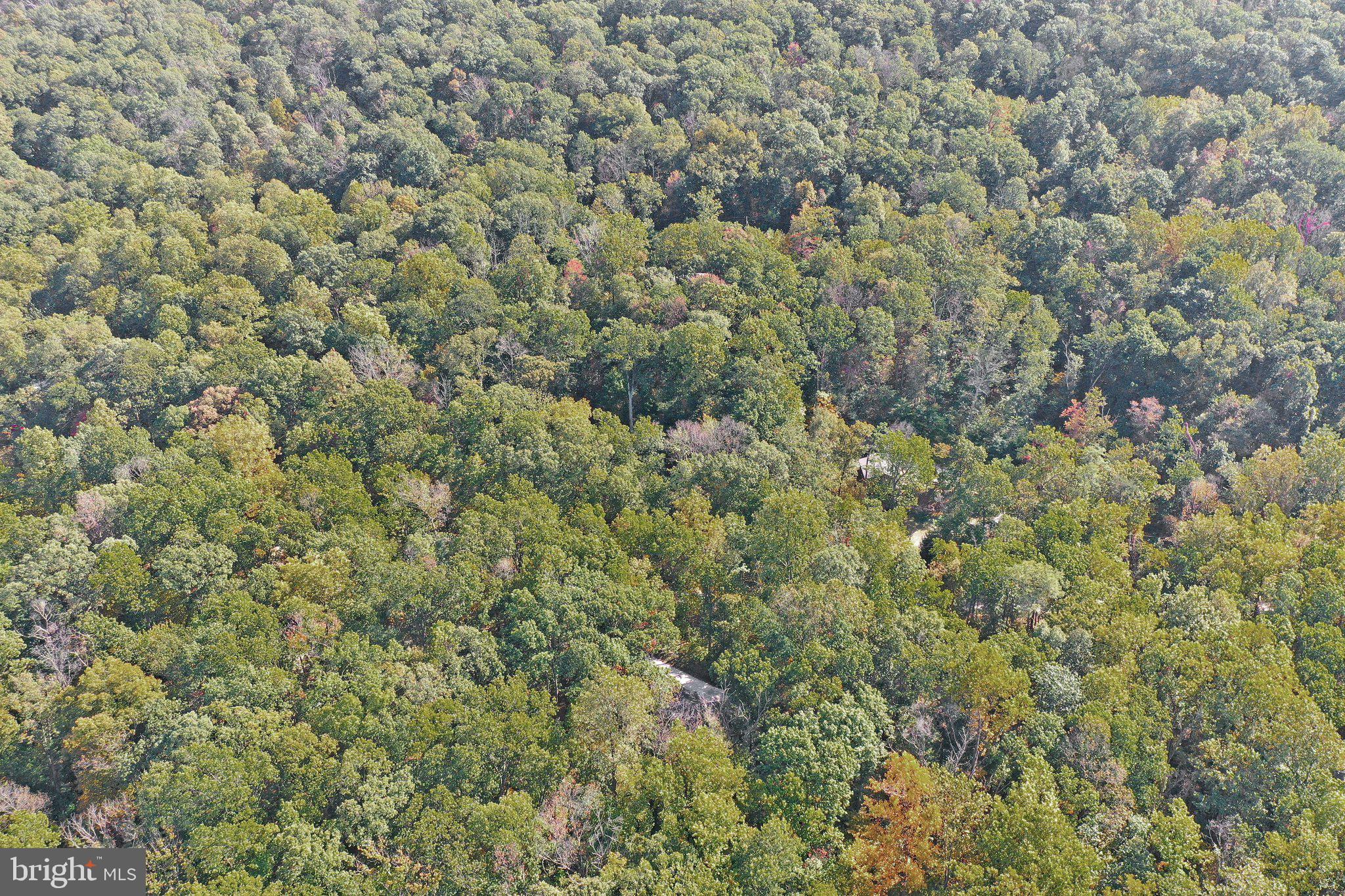 686 Nancy Jack Road Gerrardstown, WV 25420 - Photo 46 of 55 Gallery Image 46