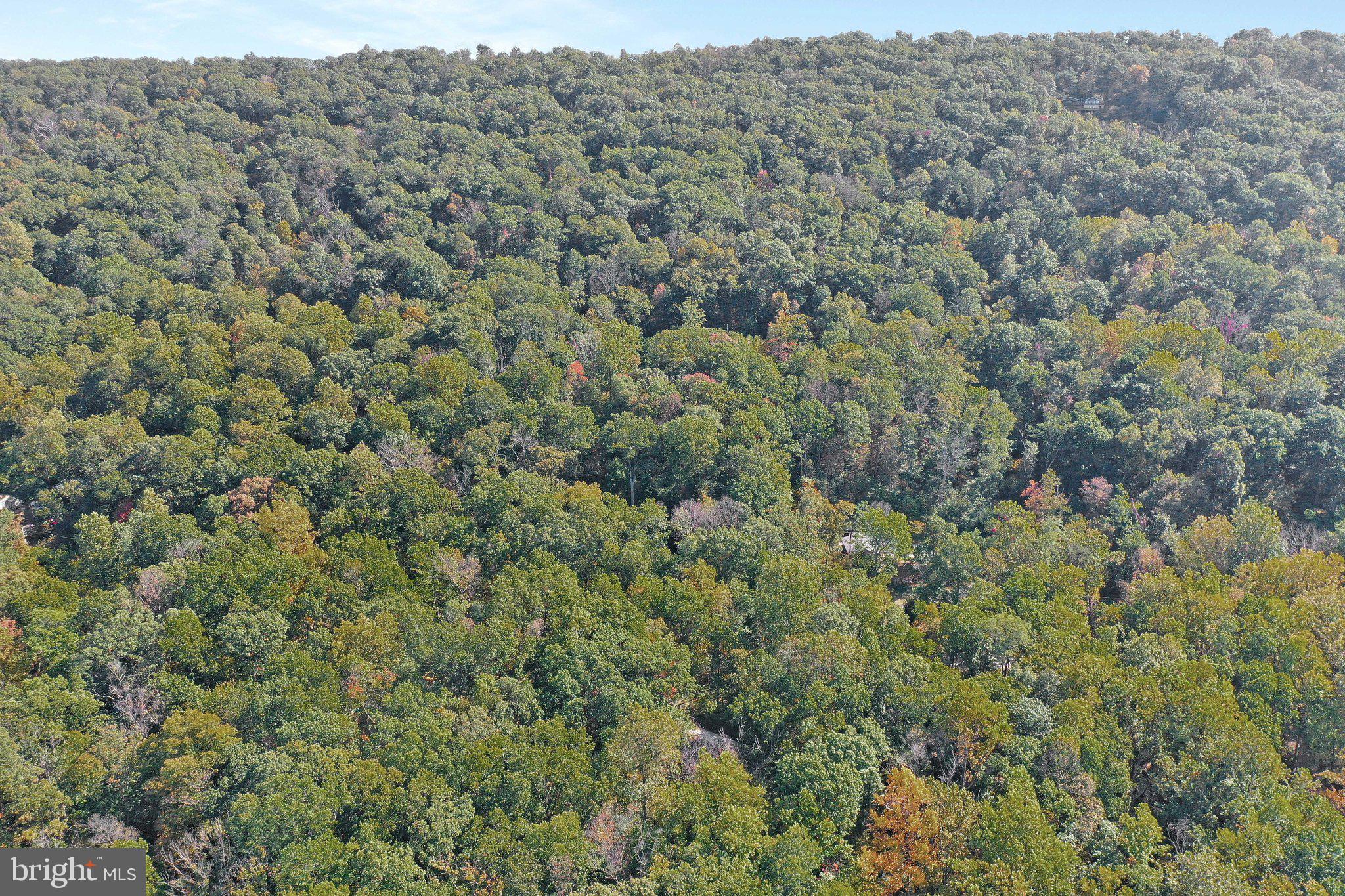 686 Nancy Jack Road Gerrardstown, WV 25420 - Photo 47 of 55 Gallery Image 47